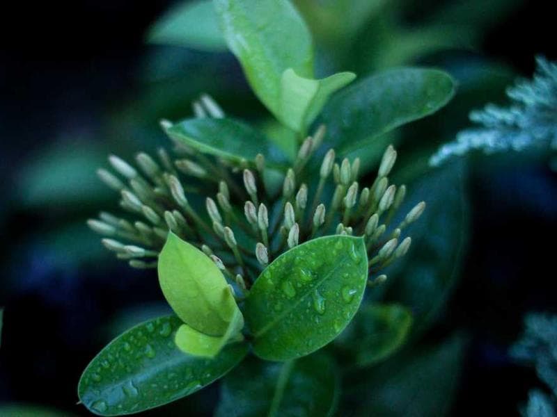 Nutrition Education Session