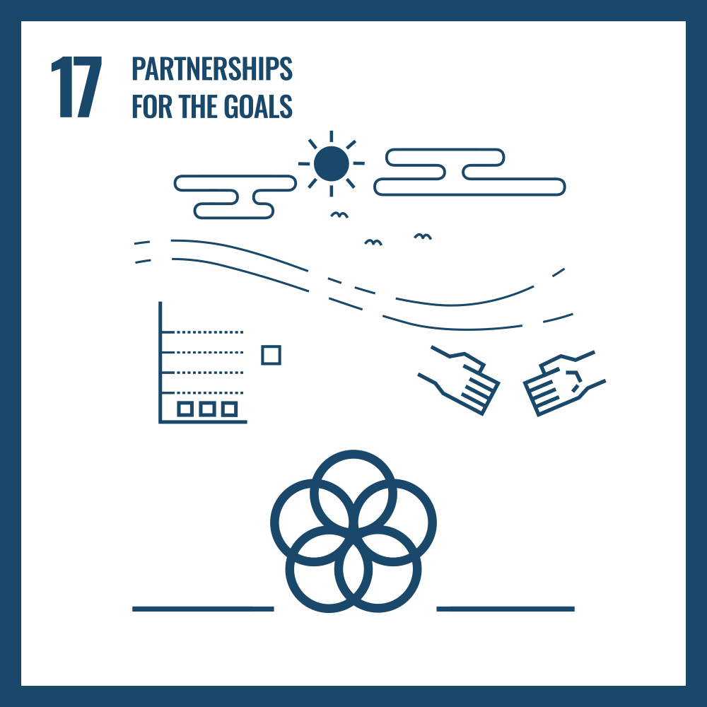 Partnerships for the Goals icon large